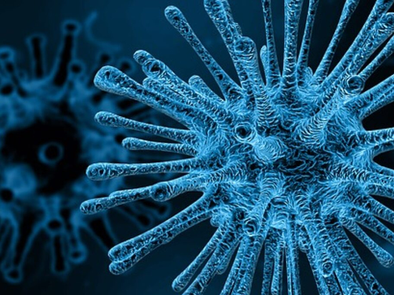 Cortisona e Tiazolidinediona em infecções por Coronavírus